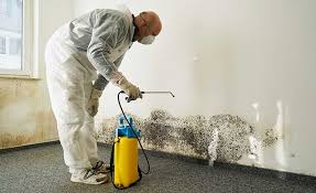 Sheridan, CO Mold Removal Company